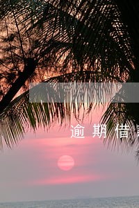 逾期借款软件 逾期借款软件