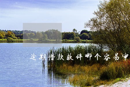 逾期借款软件哪个容易审核 逾期借款软件哪个容易审核