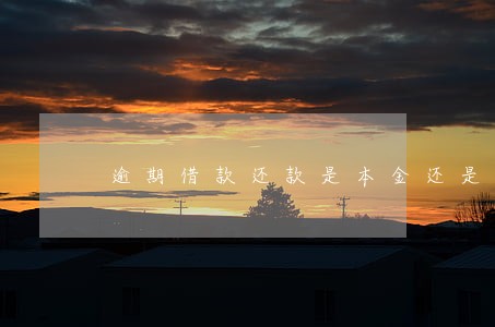 逾期借款还款是本金还是利息 逾期借款还款是本金还是利息