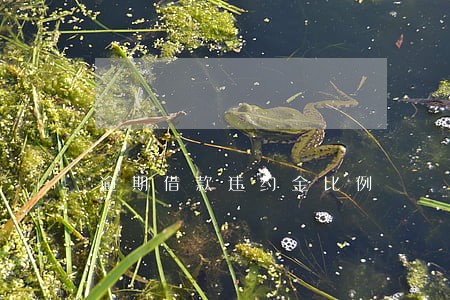 逾期借款违约金比例