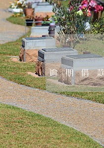 逾期借款限期收回通知书