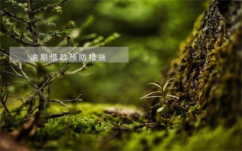 逾期借款预防措施