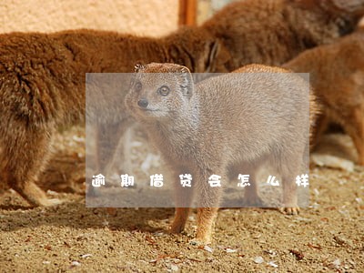 逾期借贷会怎么样