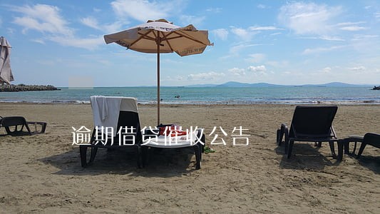 逾期借贷催收公告