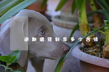 逾期借贷利率多少合法 逾期借贷利率多少合法