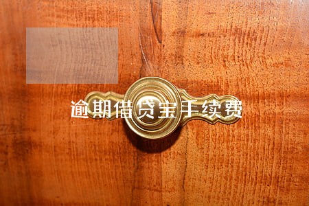 逾期借贷宝手续费 逾期借贷宝手续费