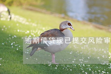 逾期借贷现已提交风险审核 逾期借贷现已提交风险审核