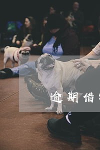 逾期借钱2022 逾期借钱2022