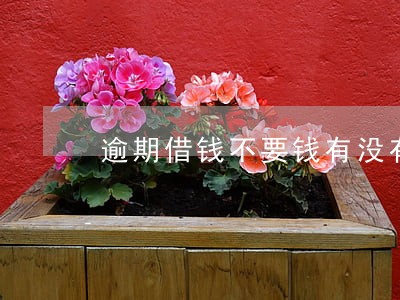 逾期借钱不要钱有没有 逾期借钱不要钱有没有