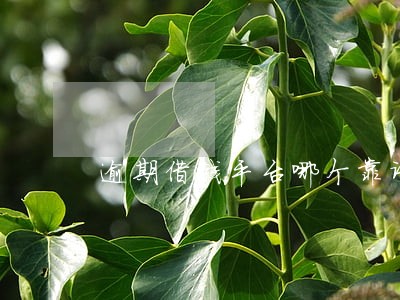 逾期借钱平台哪个靠谱 逾期借钱平台哪个靠谱