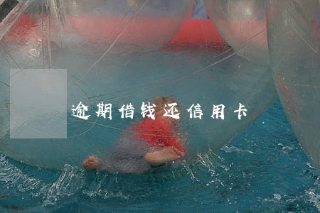 逾期借钱还信用卡