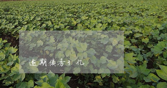 逾期债务3亿 逾期债务3亿