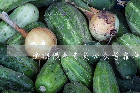 逾期债务专员公众号靠谱不 逾期债务专员公众号靠谱不