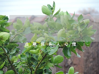 逾期债务人心理 逾期债务人心理