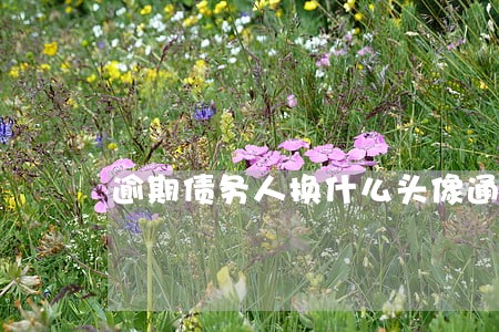 逾期债务人换什么头像通过率高 逾期债务人换什么头像通过率高