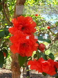 逾期债务保理 逾期债务保理