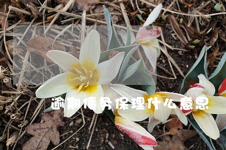 逾期债务保理什么意思 逾期债务保理什么意思