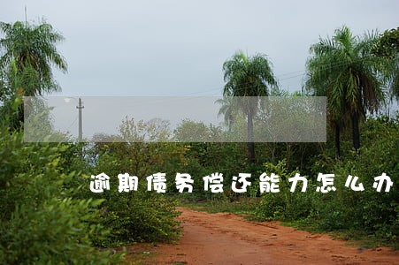 逾期债务偿还能力怎么办 逾期债务偿还能力怎么办