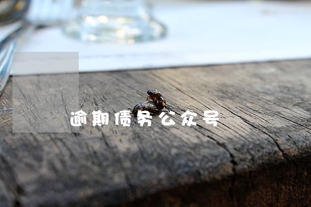 逾期债务公众号 逾期债务公众号