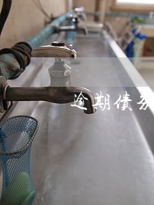 逾期债务减免 逾期债务减免