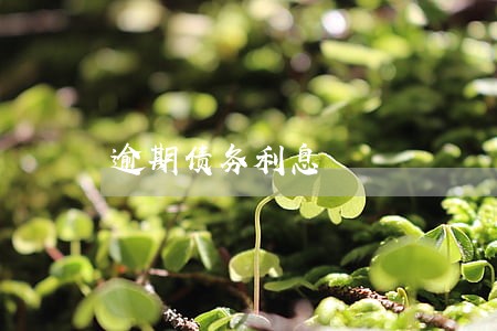 逾期债务利息 逾期债务利息