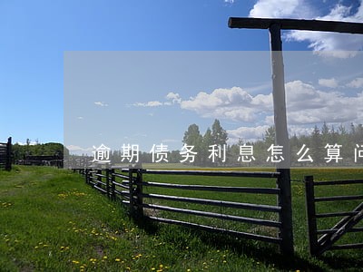 逾期债务利息怎么算问题 逾期债务利息怎么算问题