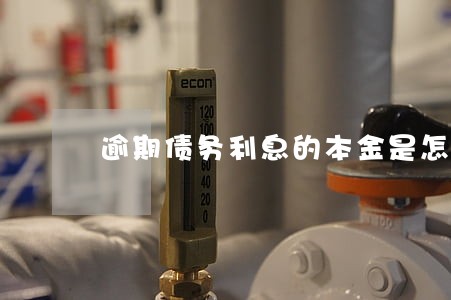 逾期债务利息的本金是怎么计算的 逾期债务利息的本金是怎么计算的