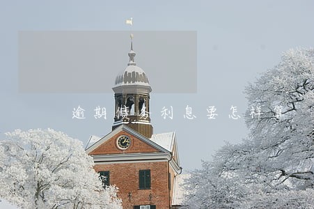逾期债务利息要怎样算 逾期债务利息要怎样算
