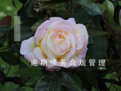 逾期债务合规管理 逾期债务合规管理