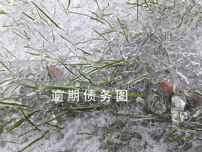 逾期债务图 逾期债务图