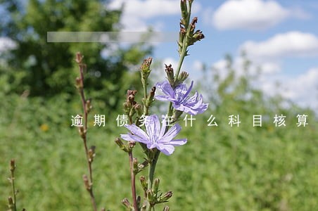 逾期债务在什么科目核算 逾期债务在什么科目核算