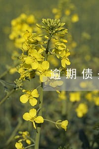 逾期债务处理方式 逾期债务处理方式