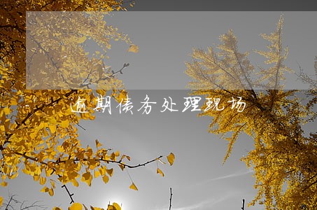 逾期债务处理现场 逾期债务处理现场