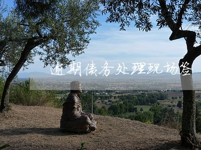 逾期债务处理现场签 逾期债务处理现场签