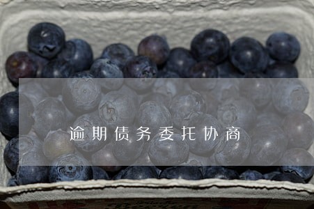 逾期债务委托协商 逾期债务委托协商