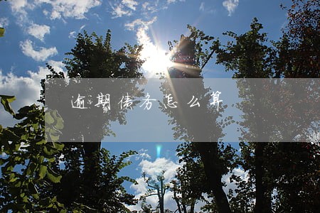 逾期债务怎么算 逾期债务怎么算