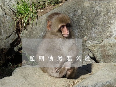 逾期债务怎么还 逾期债务怎么还