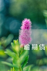 逾期债务恶意不还怎么办 逾期债务恶意不还怎么办
