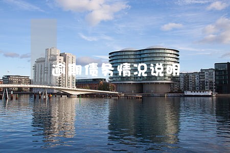 逾期债务情况说明 逾期债务情况说明