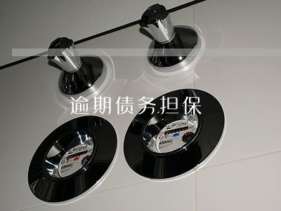 逾期债务担保 逾期债务担保