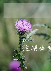 逾期债务摘星 逾期债务摘星