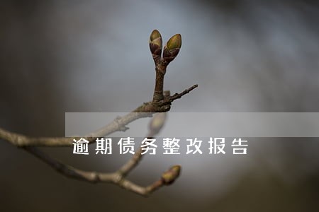 逾期债务整改报告 逾期债务整改报告