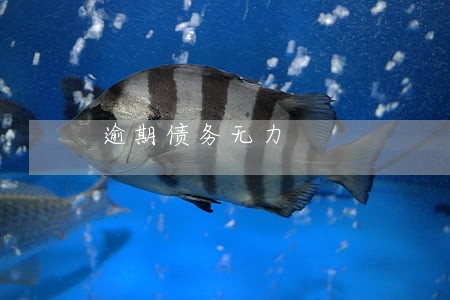 逾期债务无力 逾期债务无力