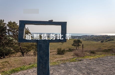 逾期债务比率 逾期债务比率