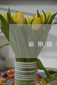 逾期债务法律咨询纠纷 逾期债务法律咨询纠纷