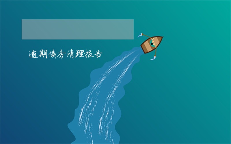 逾期债务清理报告 逾期债务清理报告