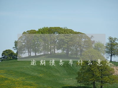 逾期债务率什么意思 逾期债务率什么意思
