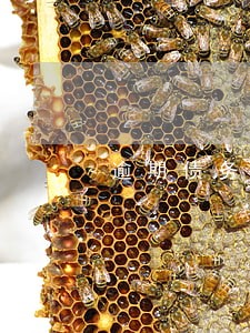 逾期债务率超过10 逾期债务率超过10