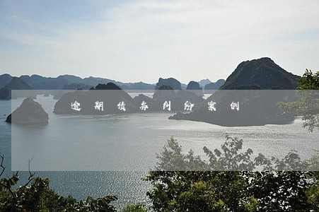 逾期债务纠纷案例 逾期债务纠纷案例