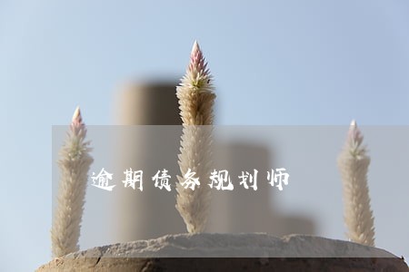 逾期债务规划师 逾期债务规划师
